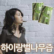 //상품명