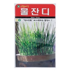 [우야플랜트샵] 물잔디 2000립, 5개