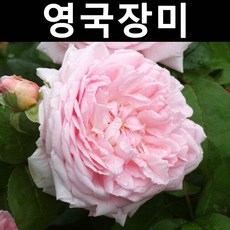 67a82f9606849aedc6c848a3076a4cfcdfa3f8590a55c48d8fd510c13dcc.jpg