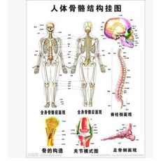9e2eb383e7b647c083b5aeb6a4ae1dc78693d7eef041793bec61f8a7b2d7.jpg
