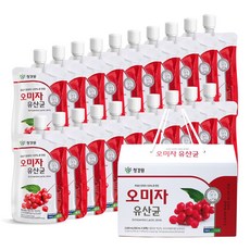 오미자음료 유산균함유 오미자주스 오미자차 오미자즙, 2박스, 20개입, 100ml