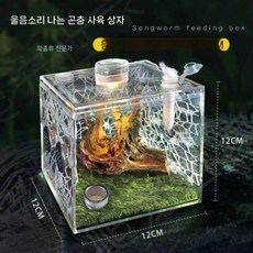 깡충거미 사육 상자 거미 귀뚜라미 항아리 사마귀 등반 대나무 요정 노란 메뚜기 고투명 노래 곤충 생태 상자(뚜껑 포함), 클라이밍 모델(사마귀에 적합)-12x12x12cm(LE