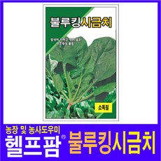 그린냉동시금치