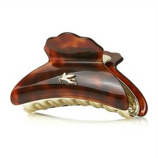 에트로헤어클립