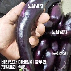 [노화방지] 국내산 가정용 가지 못난이 꼬마 가지 비타민 미네랄 풍부한 가지 저칼로리 식품 다이어트 식품, 1개, 2kg