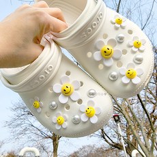 스마일진주