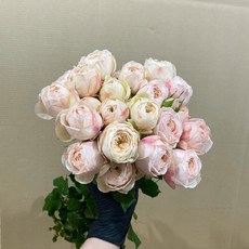 84811e59373a5bd78a6b08898f3de469fe6e011863fde6f58840f2fc0881.jpg