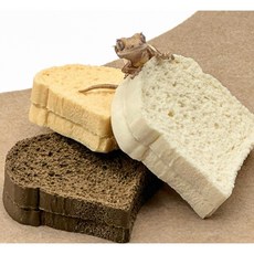 도마뱀 은신처 식빵 탈피보드, 1개, 초코