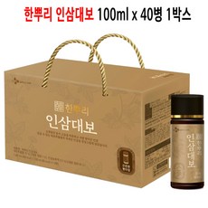 [CJ공식] 한뿌리 인삼대보100ml10입 4박스, 100ml, 40개