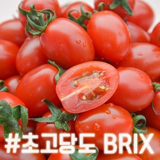 엄선한 달달 스테비아 대추 방울토마토 토망고 고당도 특과, 02.특(1kg)2팩