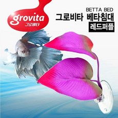 2b6da4d241921355d29155e724f67ed9ec40b043b037eb06dfc5e49ea52d.jpg