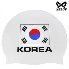 태극기수모