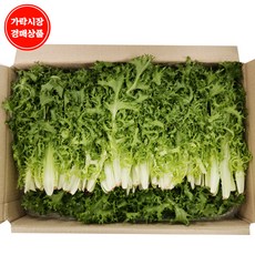 치커리2kg