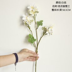 58cfdda6a92fad96b51d66e6a3c57aa6d775338e81c6b7f409198f30d5fb.jpg