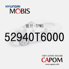 밸브-TPMS (52940T6000) 제네시스 GV80 제네시스 GV70 전기차, 1개
