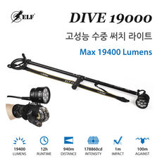 엘프다이브19000 TOP01