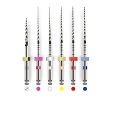 8인8색근관치료