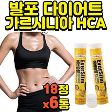 체온다이어트