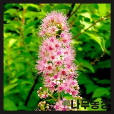 31b02e23f6bdb1fc78e0c63a0ff1523b775e2fee6add1683be4bdd4e290f.jpg
