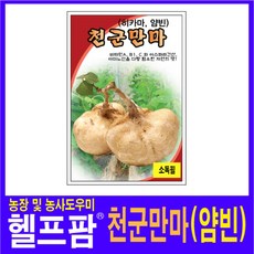 천군만마