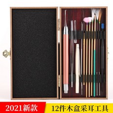 페스룸이어클리너