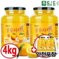 담은유자