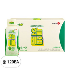 락토조이 오늘비움 유산균음료, 120개, 80ml