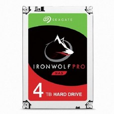 씨게이트 IronWolf Pro 4TB ST4000NE001(SATA3/7200/128M) - st4000ne001