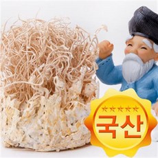 한첩 국산 눈꽃동충하초/자포니카균사체