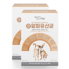 바른뉴트리펫 알파유산균 강아지 고양이 애견 반려동물 개 유산균 영양제, 유산균, 2개, 면역력 강화 - 바른펫