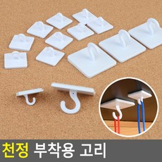 트리비무타공