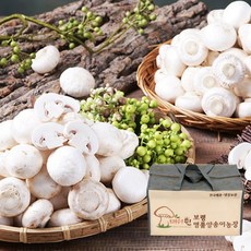 보령머쉬팜 양송이 버섯 포타벨라 선물세트 (1KG/2KG), 선물용세트, 양송이버섯 2kg부직포 선물용