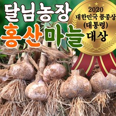 홍산마늘 한접/100개 반접/50개 서산육쪽마늘 햇마늘 통마늘 저장용 김장용 장아찌용 홍삼마늘