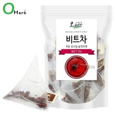 오조봇비트