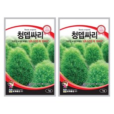 청뎁싸리 씨앗 꽃씨 1g 꽃씨앗 세계종묘 모칸도, 2개