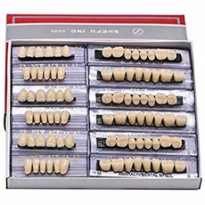 [구매대행] Angzhili Dental Synthetic Acrylic Resin False Teeth for Halloween Horror Teeth Denture Teeth Sets Shade A3 Upper And Low, 1