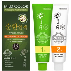 검은머리파뿌리 순한염색 트리트먼트 칼라 1 2제 150g 새치머리용 노암모니아염색, 3N 흑갈색, 1개 - 검도염색약