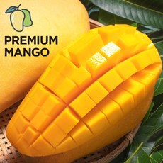 [항공직송] 프리미엄 고당도 태국 골드 망고 생과 열대 과일 mango, 1박스, 1kg (골드망고)