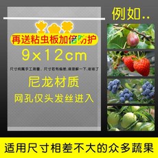 과일 야채 보호망 새 곤충 방지 반복사용 봉투 망 딸기 포도 사과 복숭아 형태보존 보호, B 9x12cm/100 개
