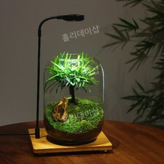 이끼공기청정기 TOP01