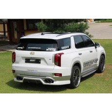 팰리세이드에어댐