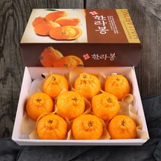 [올찬] 한라봉 선물세트(특대/대) 3kg(8~10과), 1개