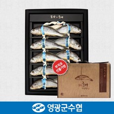 [영광군수협]법성포 영광 굴비 명품 오가 선물세트 1.8kg(10미) / 고급지함 부직포가방 포장, 1개