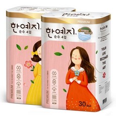 한예지비데티슈