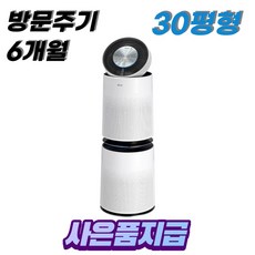LG 공기청정기 퓨리케어 30평 6개월방문케어 - AS300DWFA46 (무료설치)