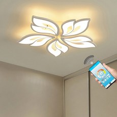 꼬끄시그루샹들리에