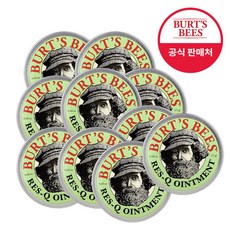 버츠비레스큐오인트먼트15g