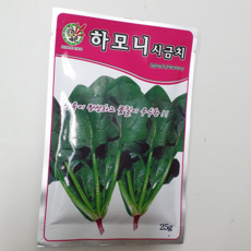 요양원게이트볼
