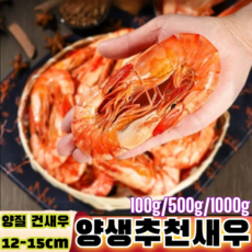저지방 고단백 즉석 대형 건새우/100g+100g/ 국산 국물새우 육수용 건새우, (1+1)건새우*200g, 100g, 2세트