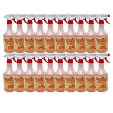 PB-1 스페셜 오렌지 세정제, 650ml, 20개